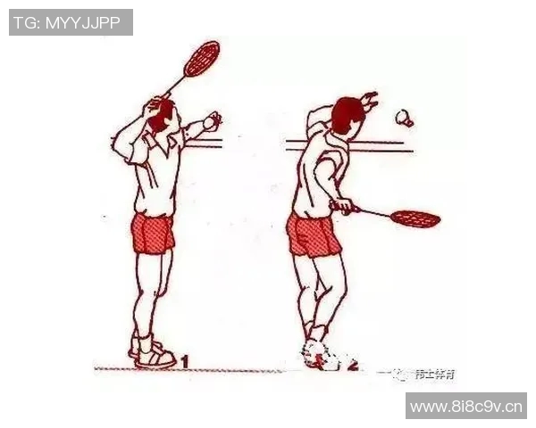 羽毛球新手必看：全面掌握入门技巧与状态调整指南