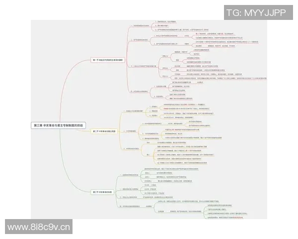以国王为核心探讨君主制度与权力结构的演变与影响